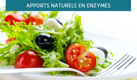 Crudités, apports naturels en enzymes